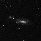 NGC1253