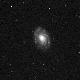NGC3810