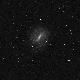 NGC5964